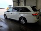 HONDA ODYSSEY EX photo