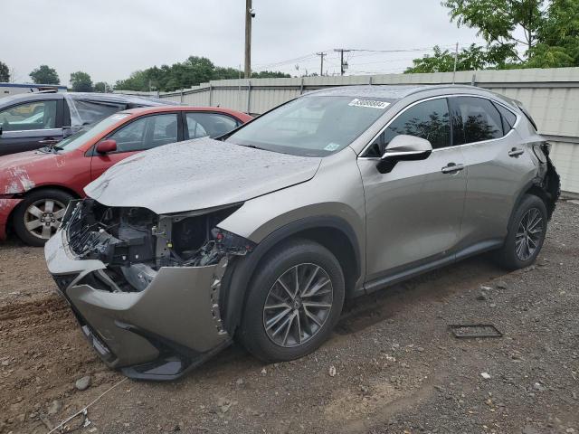 LEXUS NX 350 2023 gray  gas 2T2GGCEZ8PC024934 photo #1