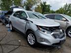 CHEVROLET EQUINOX LS 3GNAXHEV8LS544334 photo