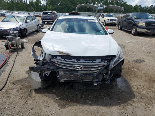 2016 HYUNDAI SONATA SPO - 5NPE34AF5GH394440