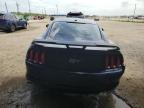 FORD MUSTANG GT photo