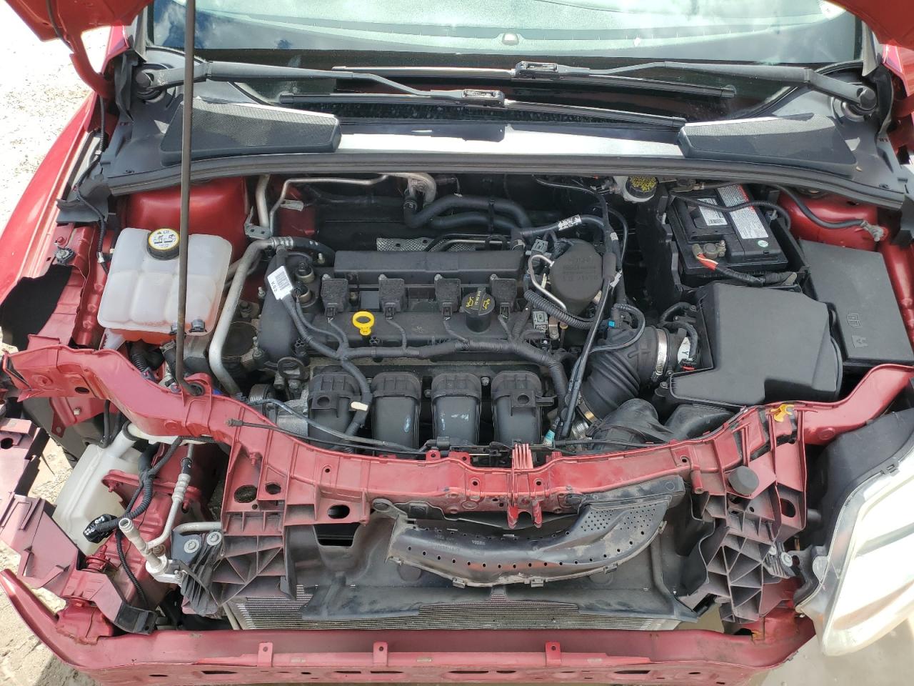 1FAHP3K25CL134428 2012 Ford Focus Se