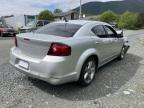 DODGE AVENGER MA photo