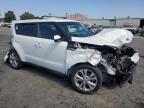 KIA SOUL + photo