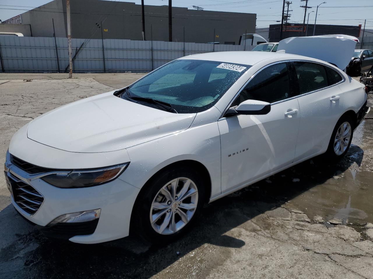 Lot #3037885264 2023 CHEVROLET MALIBU LT