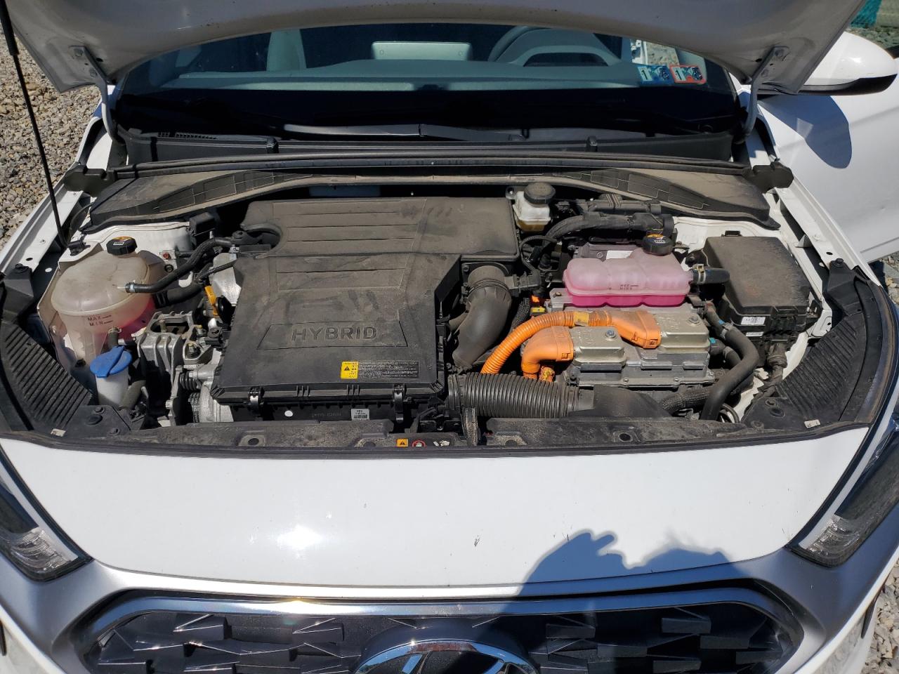 KMHC65LC9MU254685 2021 Hyundai Ioniq Blue