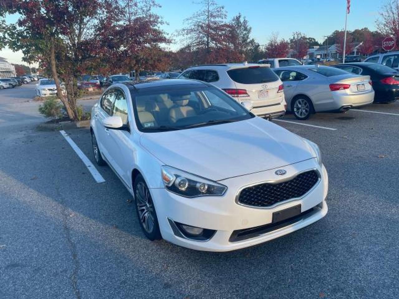 2014 Kia Cadenza Premium vin: KNALN4D74E5125328