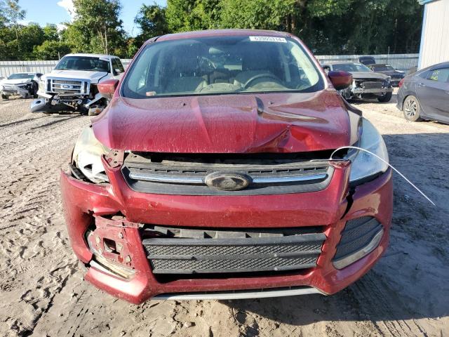 VIN 1FMCU0G9XDUD22161 2013 Ford Escape, SE no.5