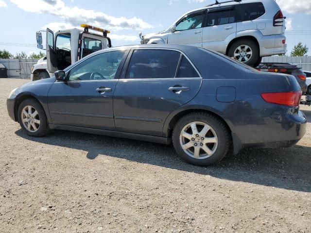 2005 Honda Accord Ex VIN: 1HGCM66555A803784 Lot: 61846054