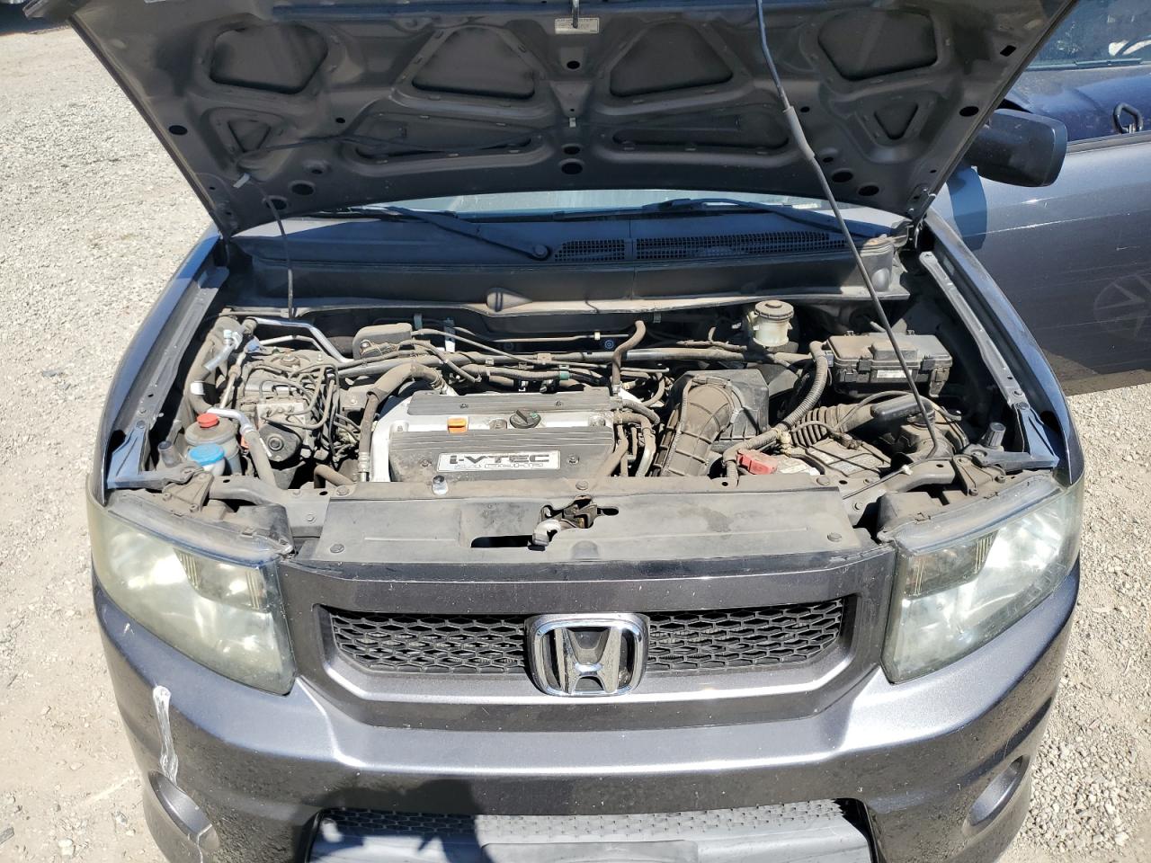 5J6YH1H92AL006204 2010 Honda Element Sc