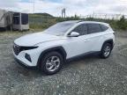 2024 HYUNDAI TUCSON SEL - KM8JCCDE0RU318222