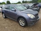 CHEVROLET EQUINOX LT photo