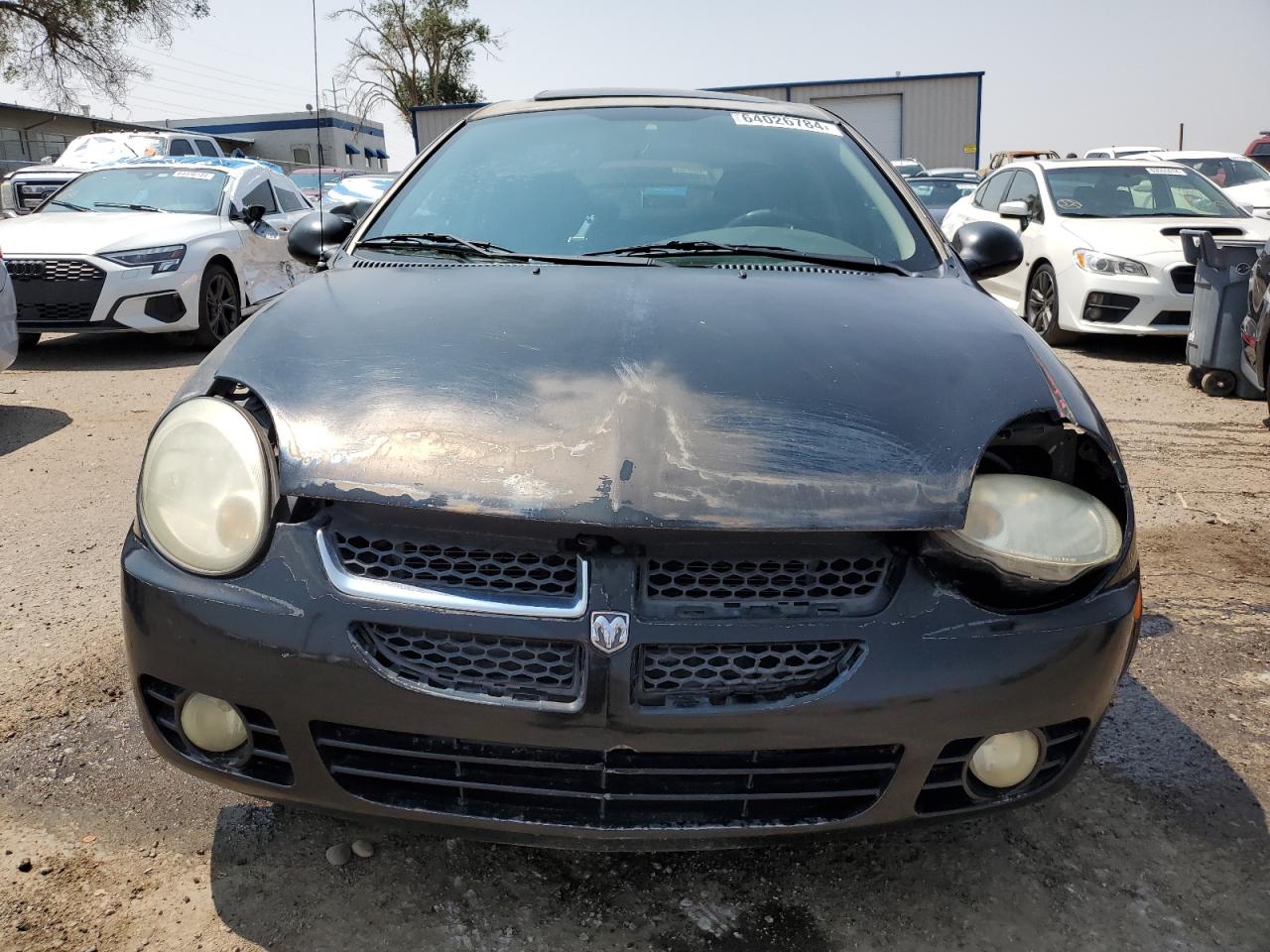 Lot #2940144461 2003 DODGE NEON SXT