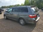 HONDA ODYSSEY EX photo