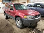 FORD ESCAPE XLT photo