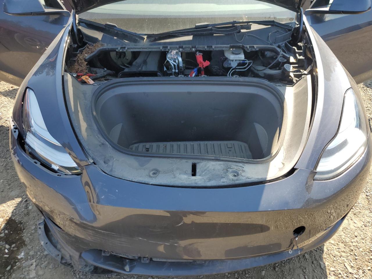 7SAYGAEE1PF609007 2023 Tesla Model Y