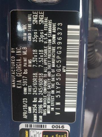 2023 Kia Telluride Sx VIN: 5XYP5DGC5PG396373 Lot: 62397114