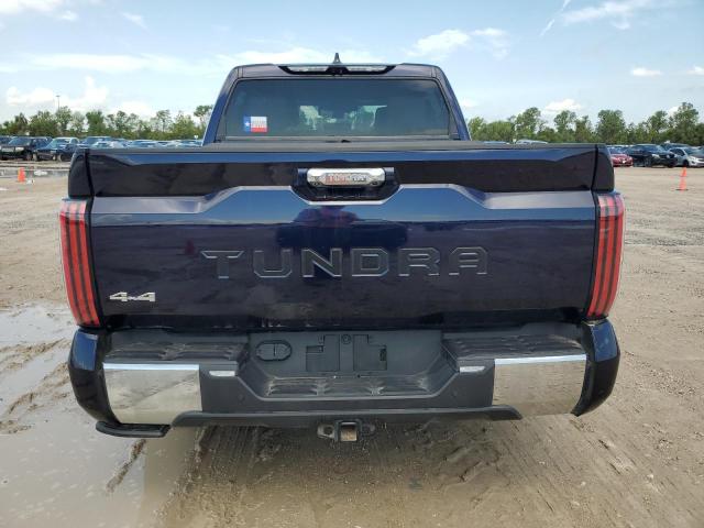 2023 Toyota Tundra Crewmax Platinum VIN: 5TFMA5DB9PX111963 Lot: 62216294