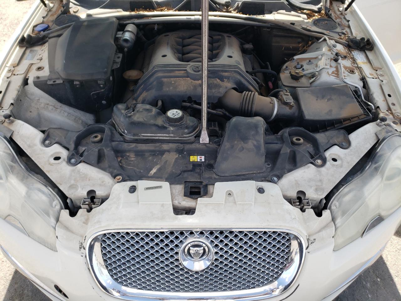 SAJWA05B99HR13258 2009 Jaguar Xf Luxury