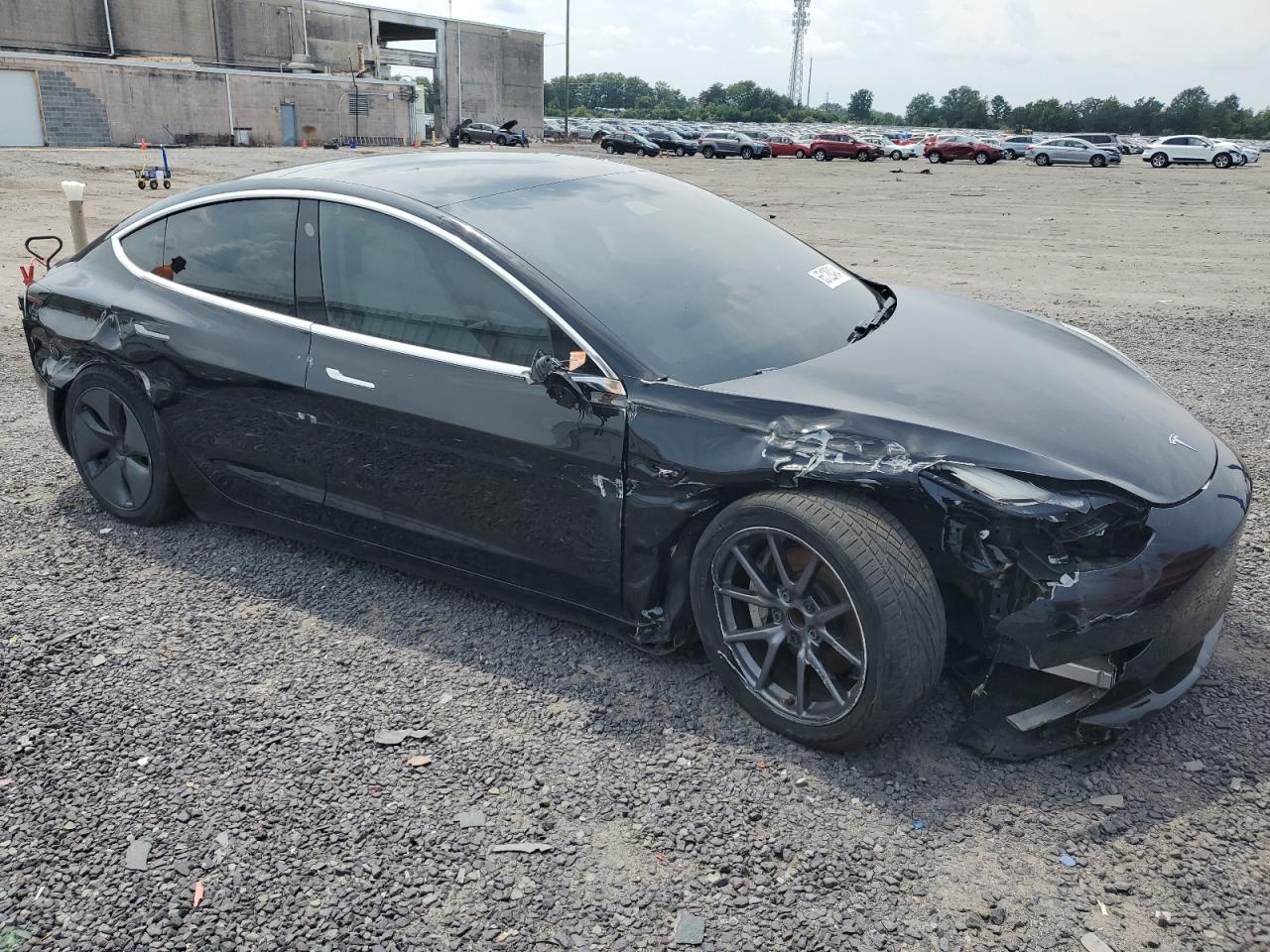 Lot #2738680342 2019 TESLA MODEL 3