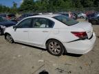 Lot #3024831409 2008 HONDA ACCORD EX