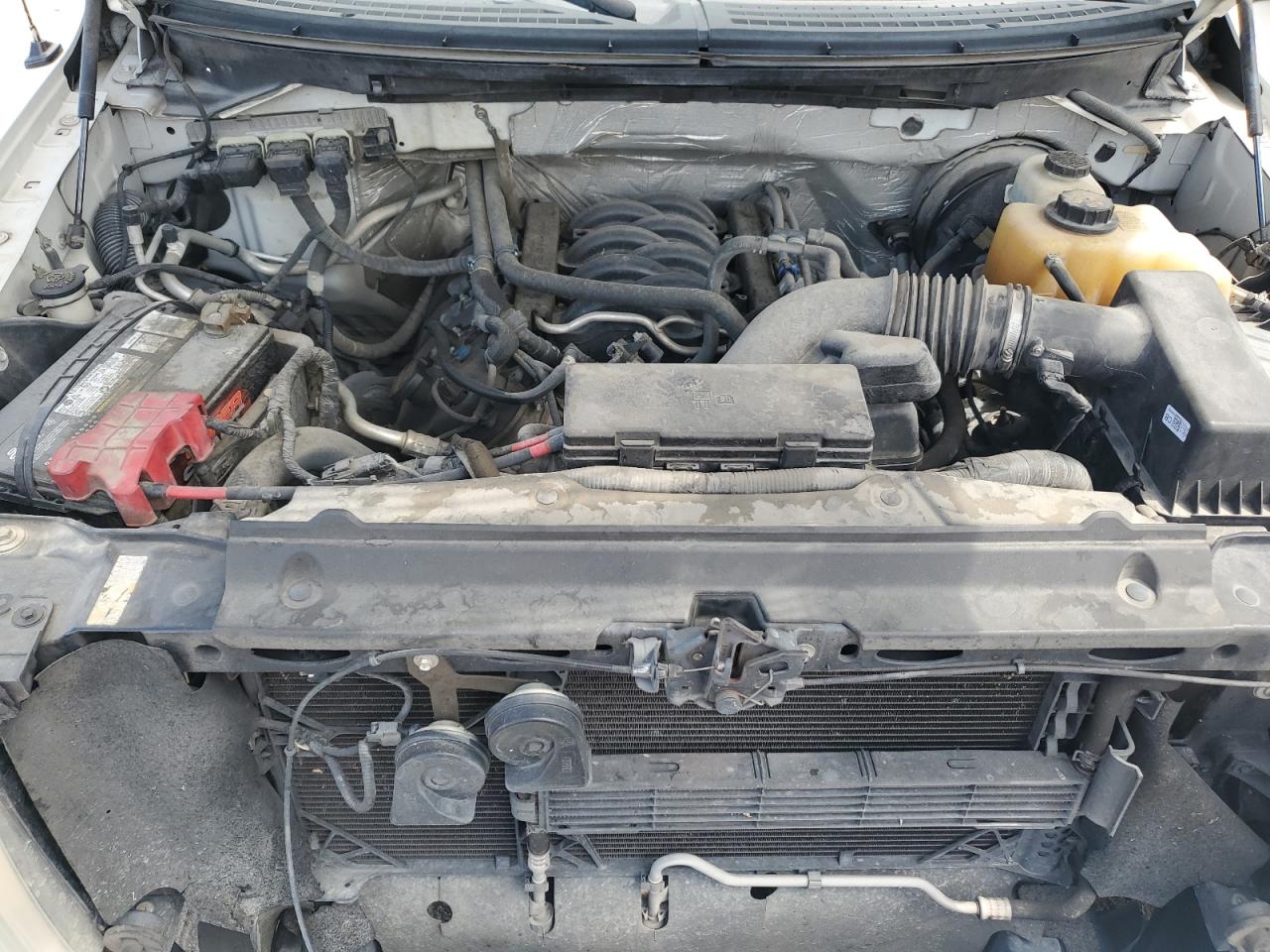 1FTFW1CF7DKG40392 2013 Ford F150 Supercrew