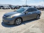 HONDA ACCORD EXL photo