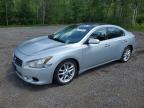 NISSAN MAXIMA S photo