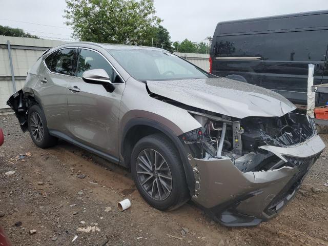 2023 LEXUS NX 350 2T2GGCEZ8PC024934