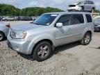 HONDA PILOT EXLN photo