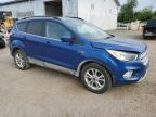 FORD ESCAPE SE снимка