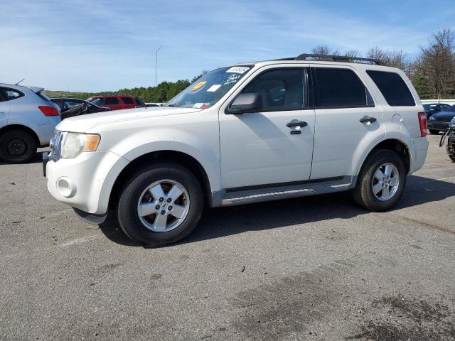 Vin: 1fmcu9dg6akd16033, lot: 52459294, ford escape xlt 2010 img_1