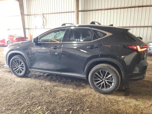 VIN 2T2GDCAZ0PC004854 2023 Lexus NX, 250 no.2