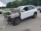 2019 JEEP CHEROKEE L - 1C4PJMLB1KD463003