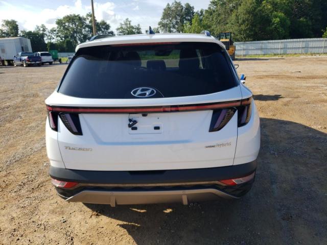 2022 Hyundai Tucson Limited VIN: KM8JECA14NU033898 Lot: 63289024
