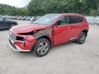 2023 HYUNDAI SANTA FE S - 5NMS3DAJ7PH561563