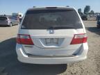 HONDA ODYSSEY LX photo