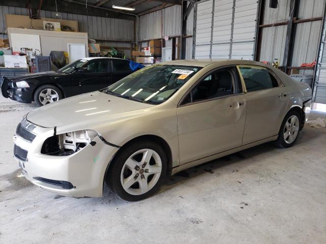 Vin: 1g1zb5e13bf350702, lot: 61637734, chevrolet malibu ls 2011 img_1
