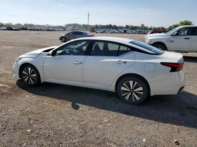 2019 NISSAN ALTIMA SV - 1N4BL4DW7KN319736