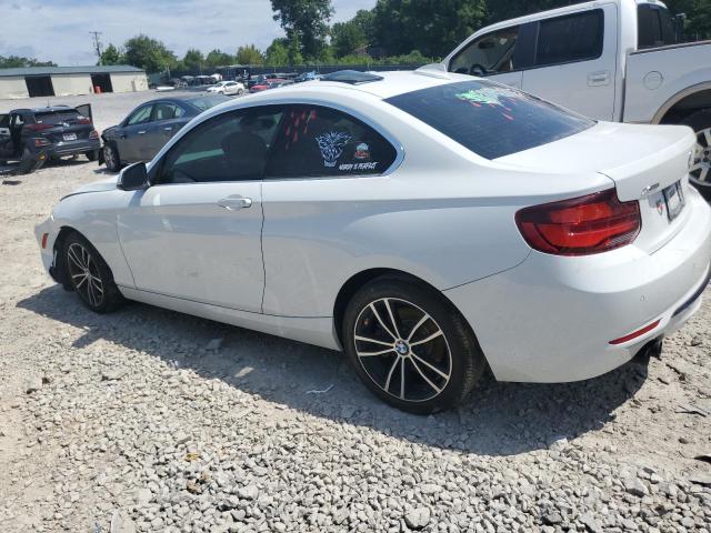 2020 BMW 230Xi VIN: WBA2J3C06L7E55336 Lot: 62087384