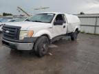 FORD F150 photo