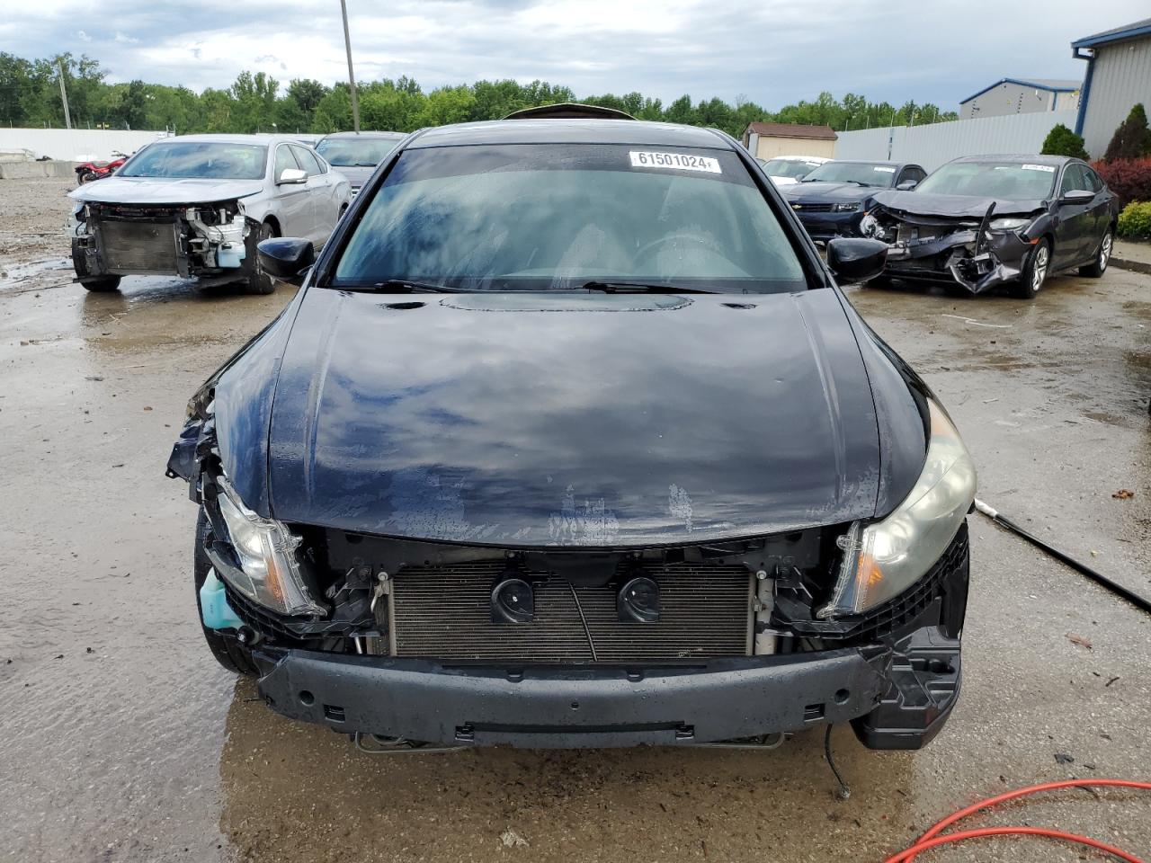 Lot #2784349070 2008 HONDA ACCORD EXL