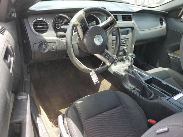 2013 Ford Mustang VIN: 1ZVBP8AM8D5279143 Lot: 60822974