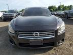 NISSAN MAXIMA S photo