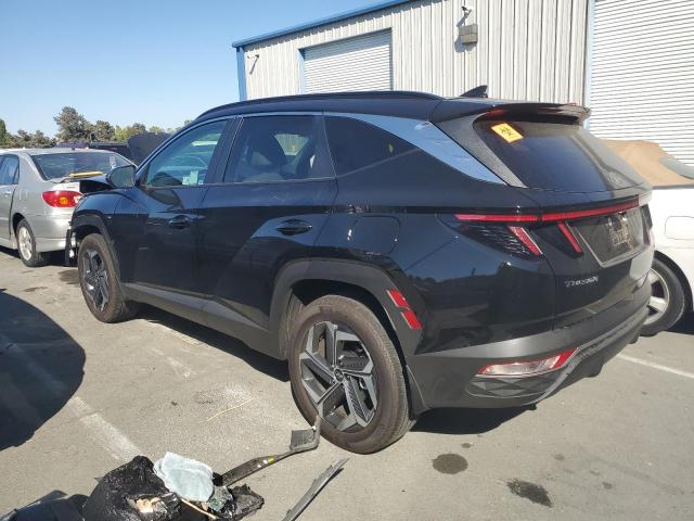 2024 HYUNDAI TUCSON SEL KM8JCCD13RU178194  64071234