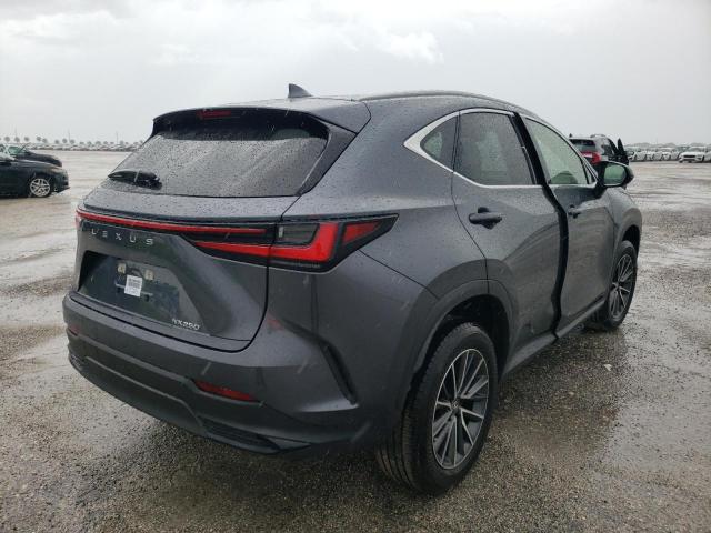 2023 LEXUS NX 250 JTJADCAZ7P5012874