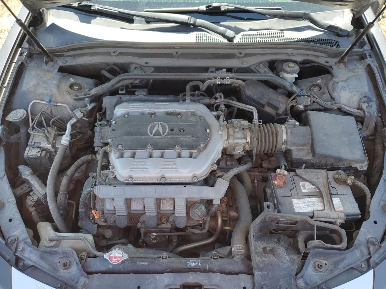 19UUA8F26AA025911 2010 Acura Tl