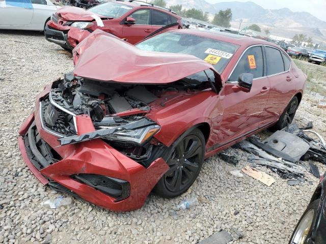 Vin: 19uub6f68pa004538, lot: 64432574, acura tlx advance 2023 img_1