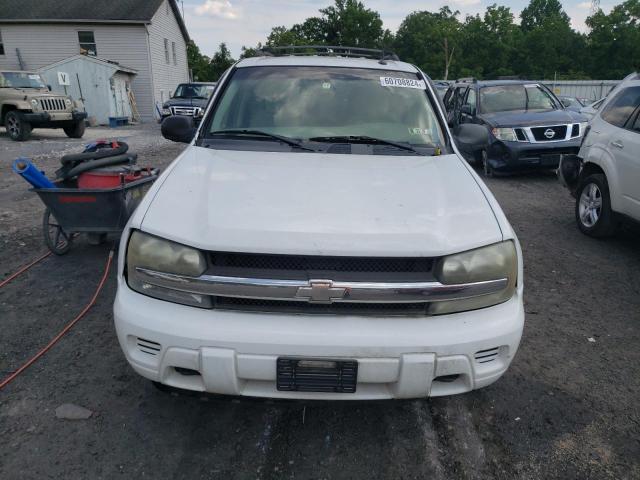 2005 Chevrolet Trailblazer Ls VIN: 1GNDT13S252202059 Lot: 60708824