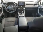 TOYOTA RAV4 LE photo